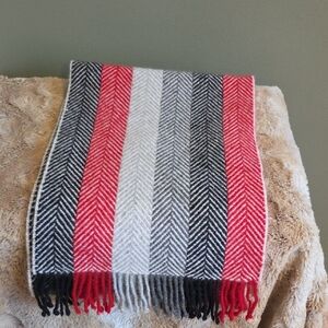 Charter Club Red and Black Striped Scarf